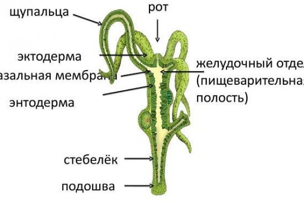 Кракен нар шоп