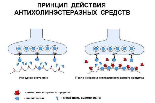 Кракен работает